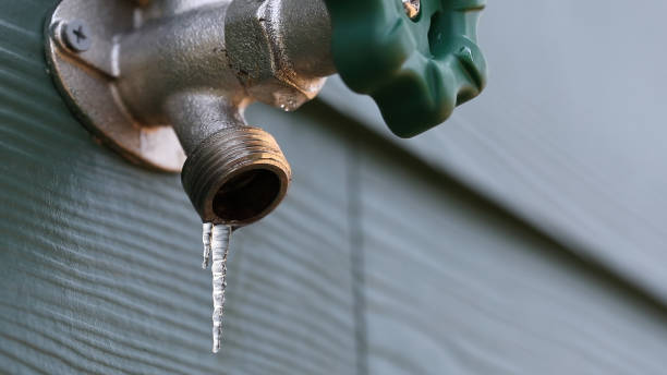 Best Clogged Drain Plumber  in Lake Dallas, TX